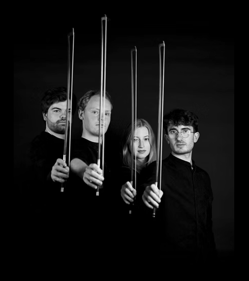 High contrast image of four string performers holding their bows.